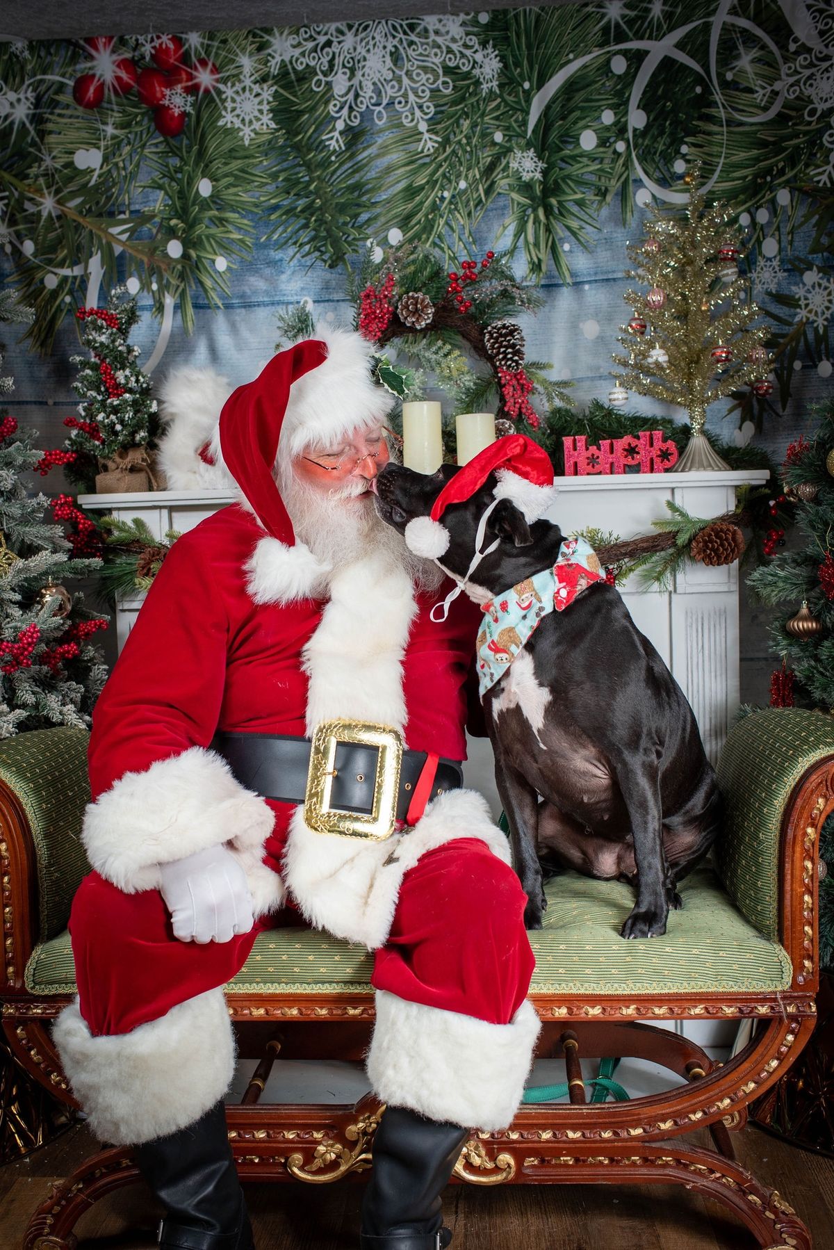 Santa Pics at The Doggie Bag