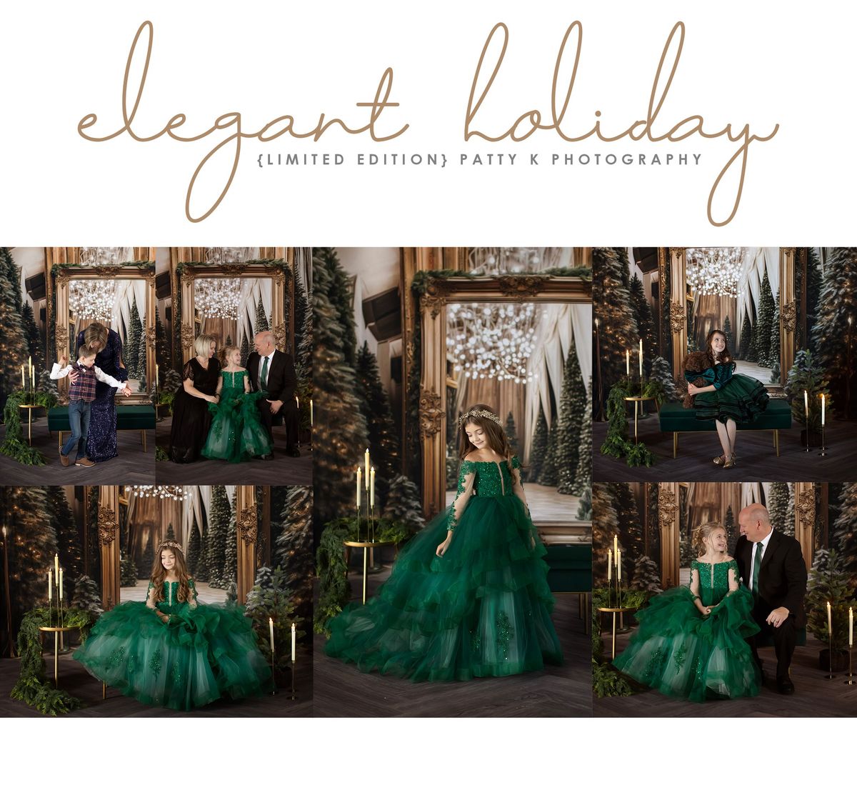 Elegant Holiday Cary NC Photo Session