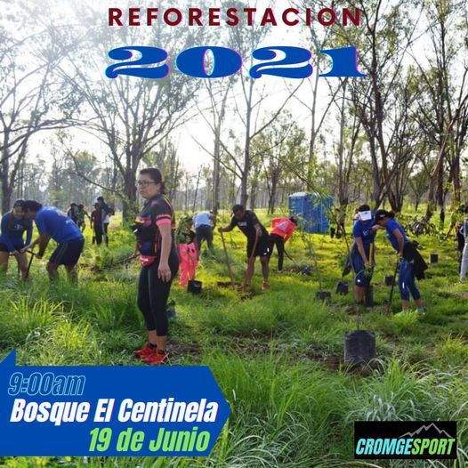 Reforestacion del bosque el centinela 2021