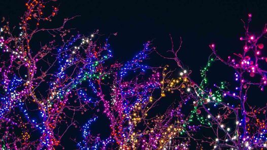 Seattle Holiday Lights & Lore Tour - (Different Tour Dates)