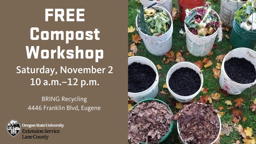 2024 Free Compost Workshop - Saturday, November 2