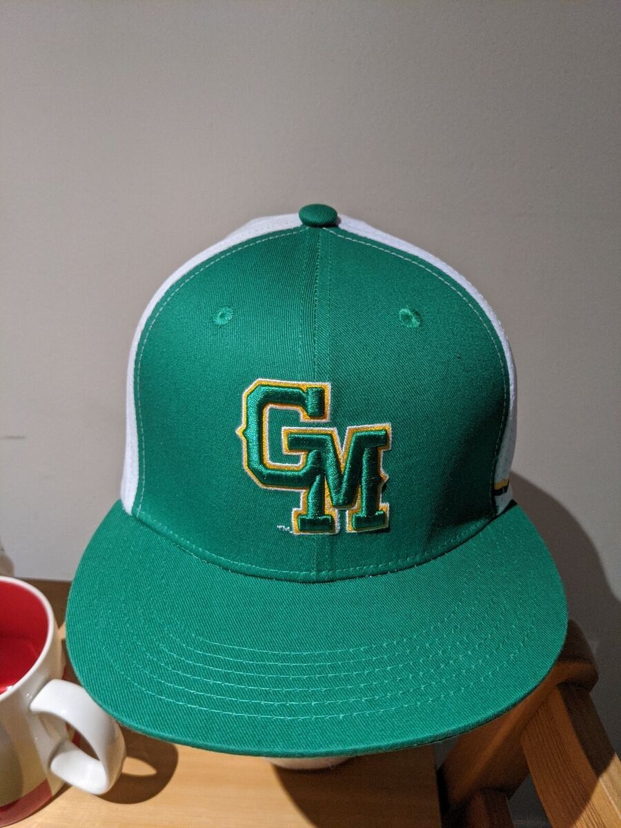 Georgetown Hoyas at George Mason Patriots Baseball