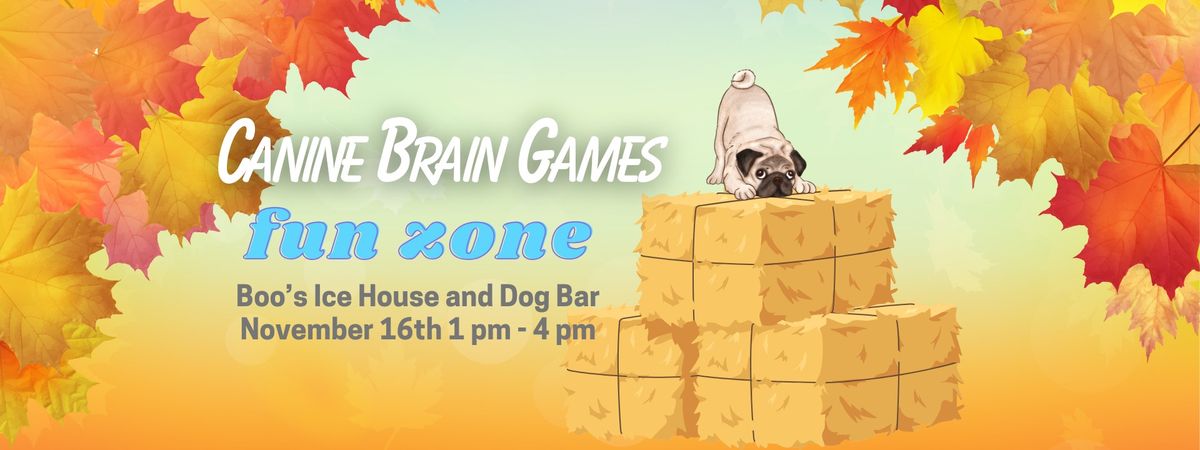 Canine Brain Games Fun Zone