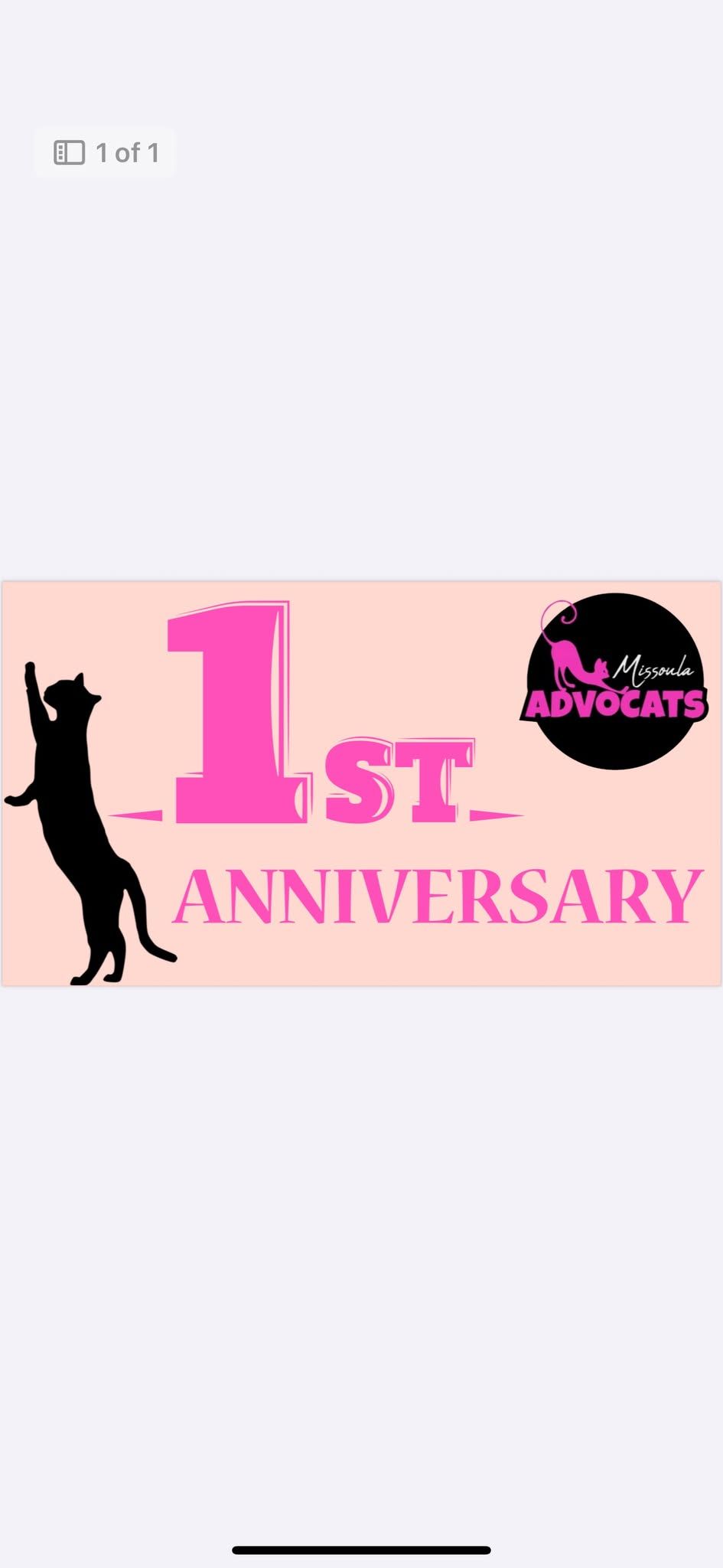 AdvoCats 1 year Anniversary 