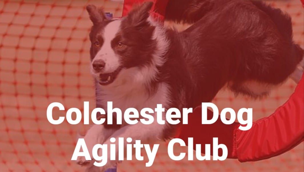 CDAC Agility Show 2025