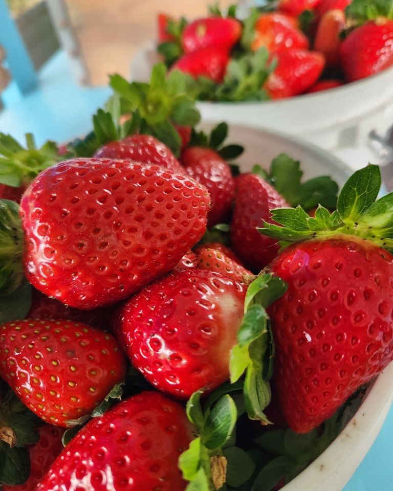 Strawberry picking