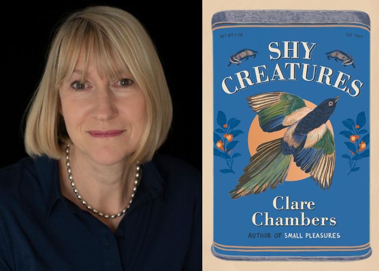 Clare Chambers - 'Shy Creatures'