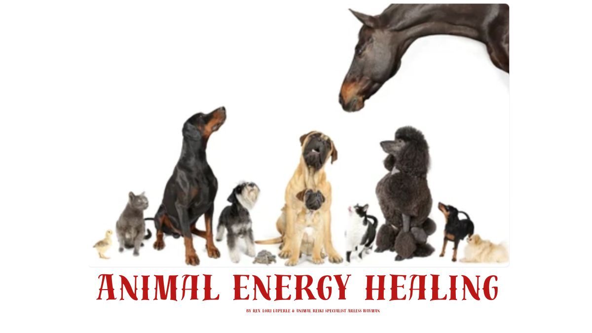 Animal Energy Healing Class