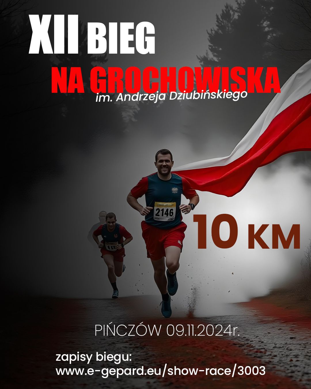 XII BIEG NA GROCHOWISKA im. Andrzeja Dziubi\u0144skiego 