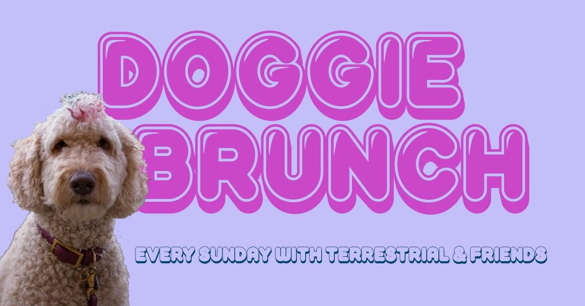 Doggie Brunch