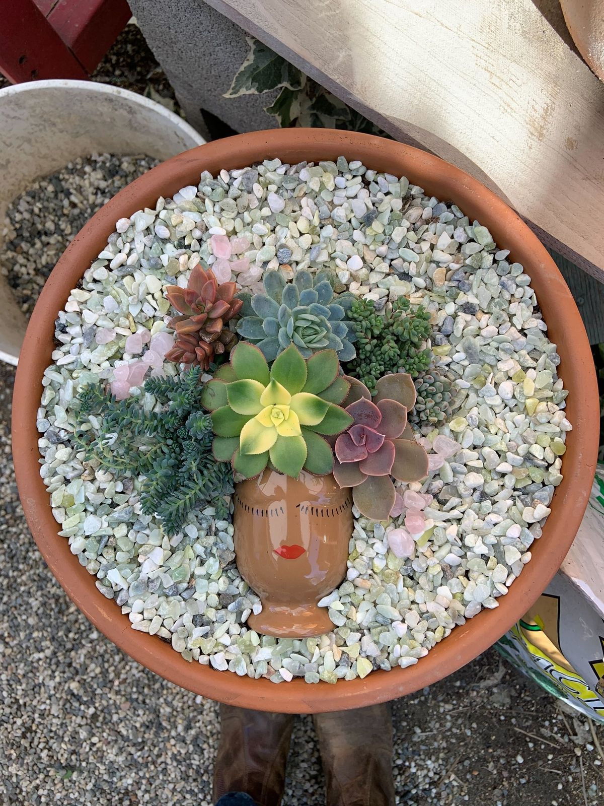 Plant Lady Succulent Planter Workshop