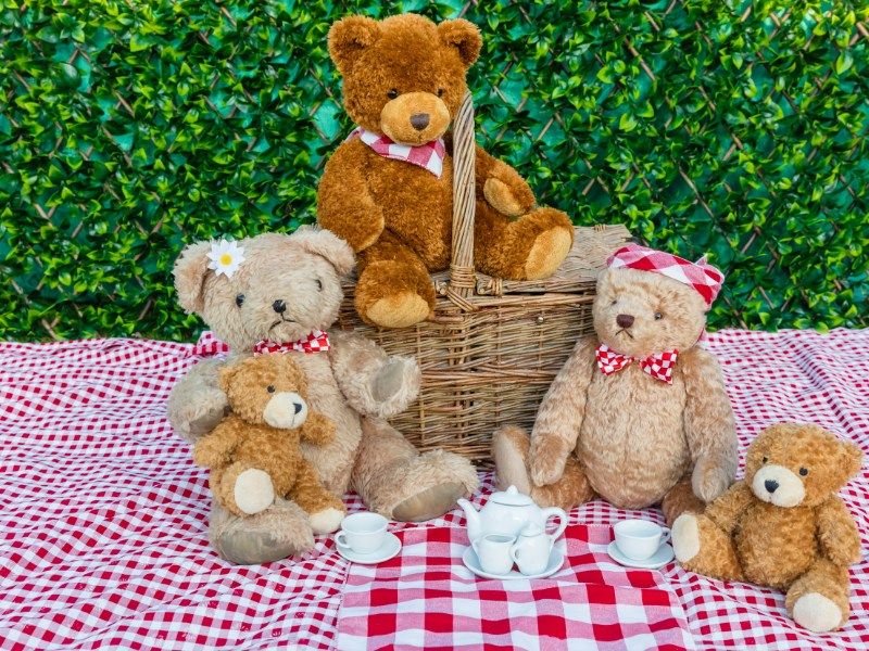 Teddy Bears Picnic Storytime