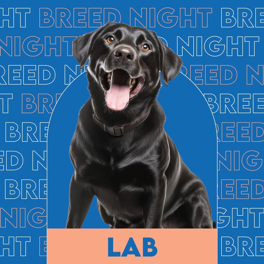 Lab Breed Night