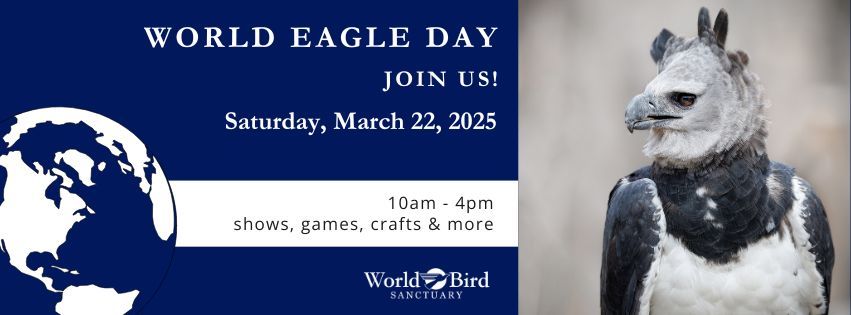 World Eagle Day