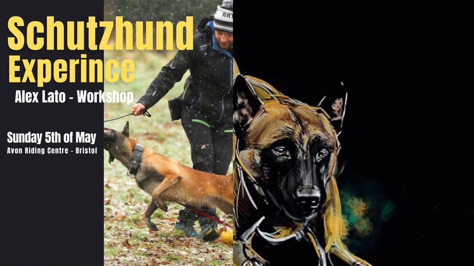  Schutzhund Experience (IGP)- Alex Lato Workshop 