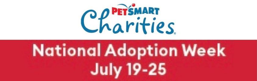 Petsmart Adoption Event for National Adoption Week!