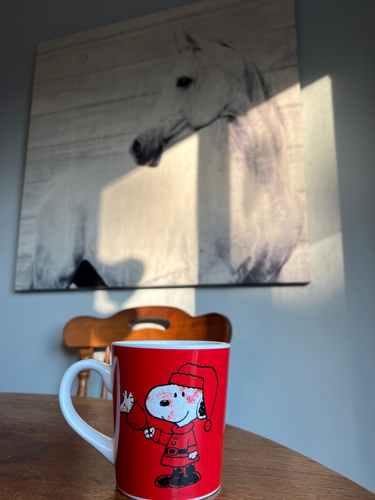 Coffee, tea or hot chocolate with horses 