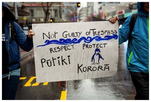 #ProtectP\u016btiki Support Kaitiaki at Auckland District Court