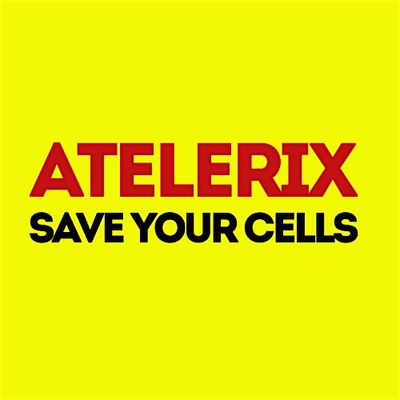 Atelerix