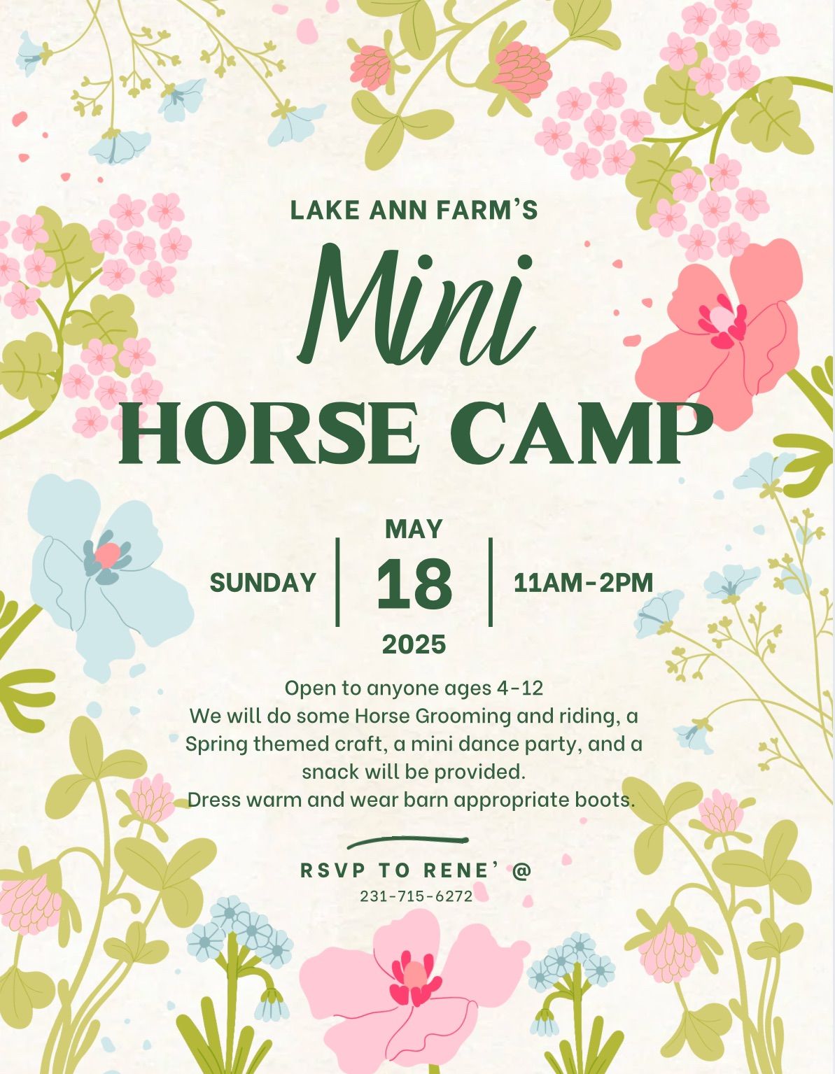 Mini Horse Camp