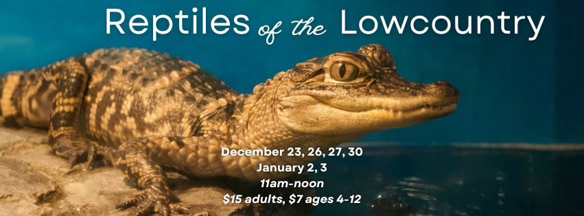 Reptiles of the Lowcountry - Special Holiday Edition!