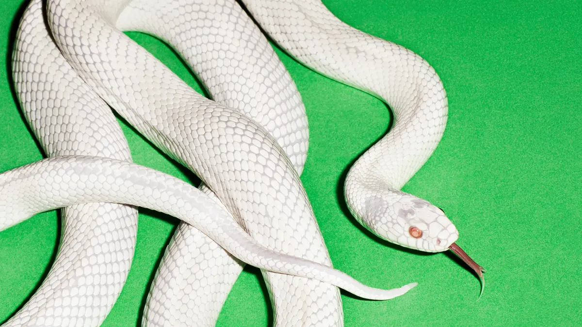 Deftones, IDLES in City of Edinburgh