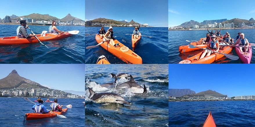 6 x Spots left - 2 Hour Cape Town Three Anchor Bay Kayak Trip & Dolphin viewing