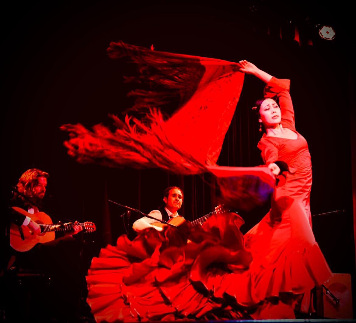 Senes Flamenco @ Le Ceddo Bar East Brunswick!