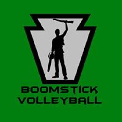 Boomstick Volleyball