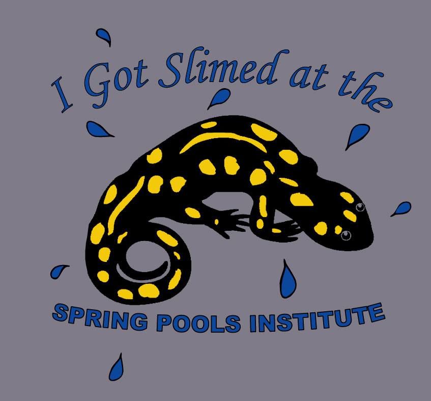 Spring Pools Institute