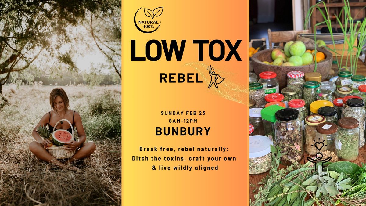 The Low Tox Rebel: Break Free, Get Creative & Live Low Tox!