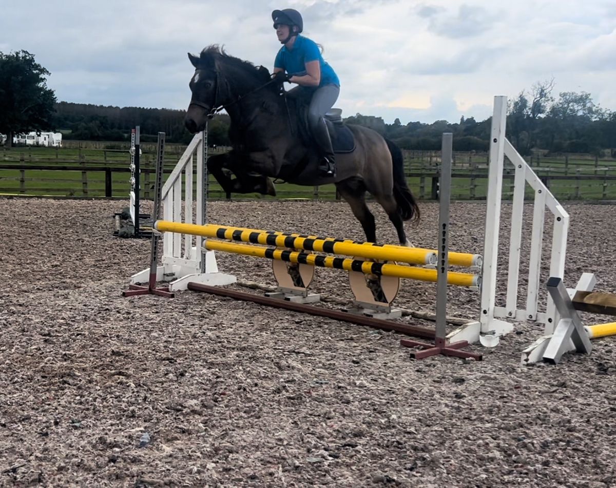 Polework and jumping lessons with BSUKCC L4 Coach - Joanne Burns Firth 