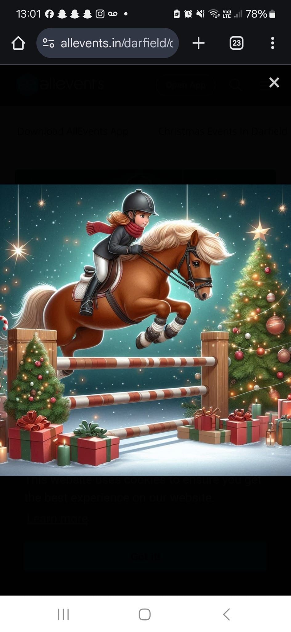 Christmas Show Jumping 