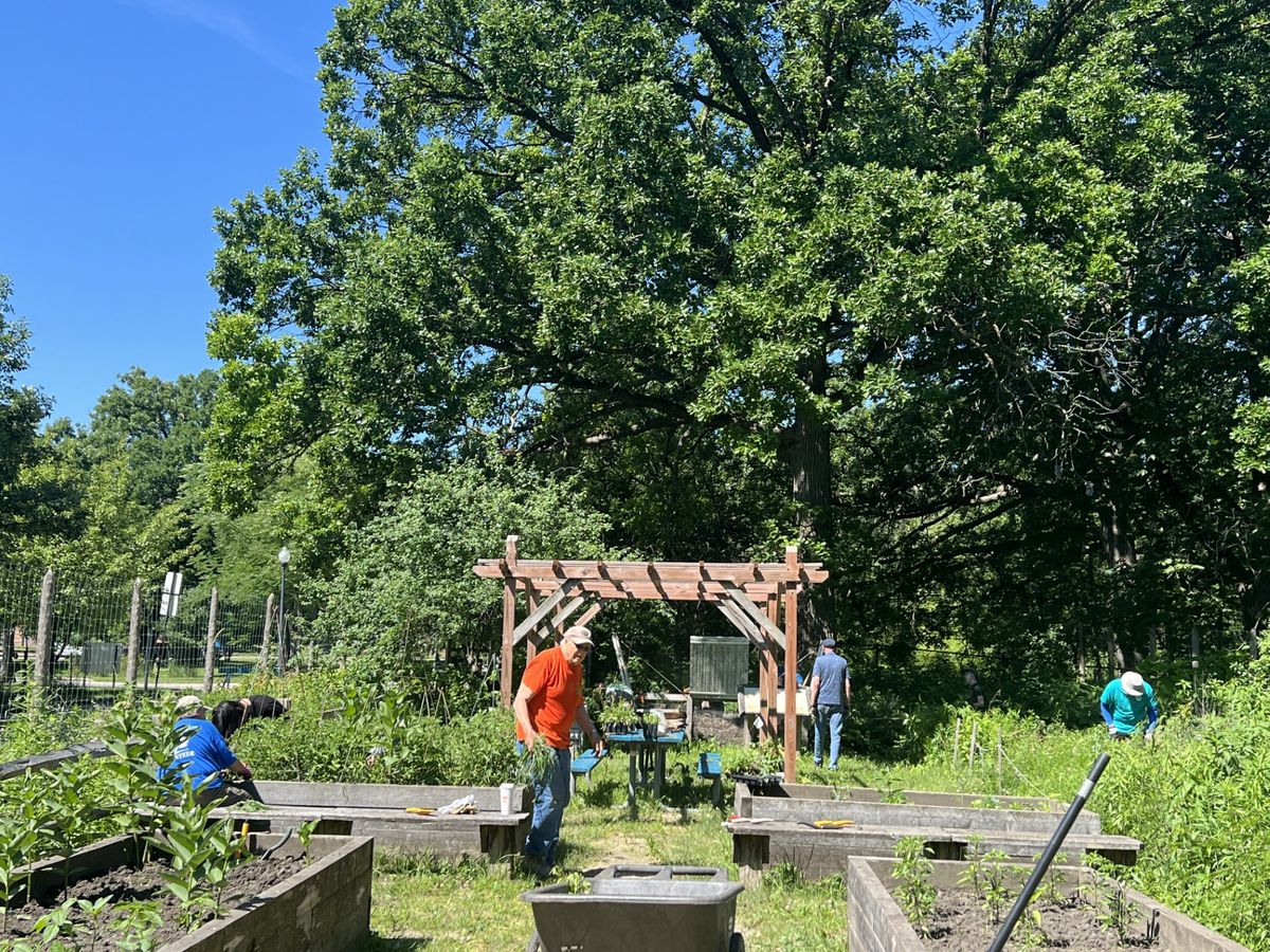 Sunday Volunteer Stewardship Workdays 2024