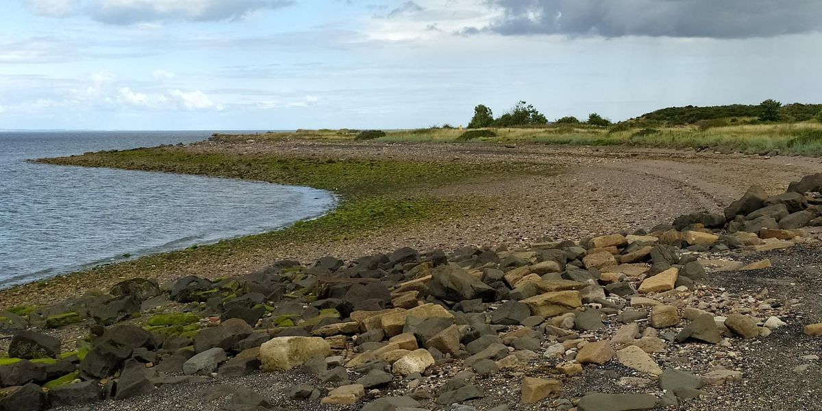 East Lothian Coastal Cleanup: Morrison's Haven