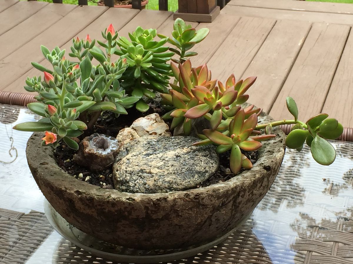 Make Your Own Hypertufa Plant Container