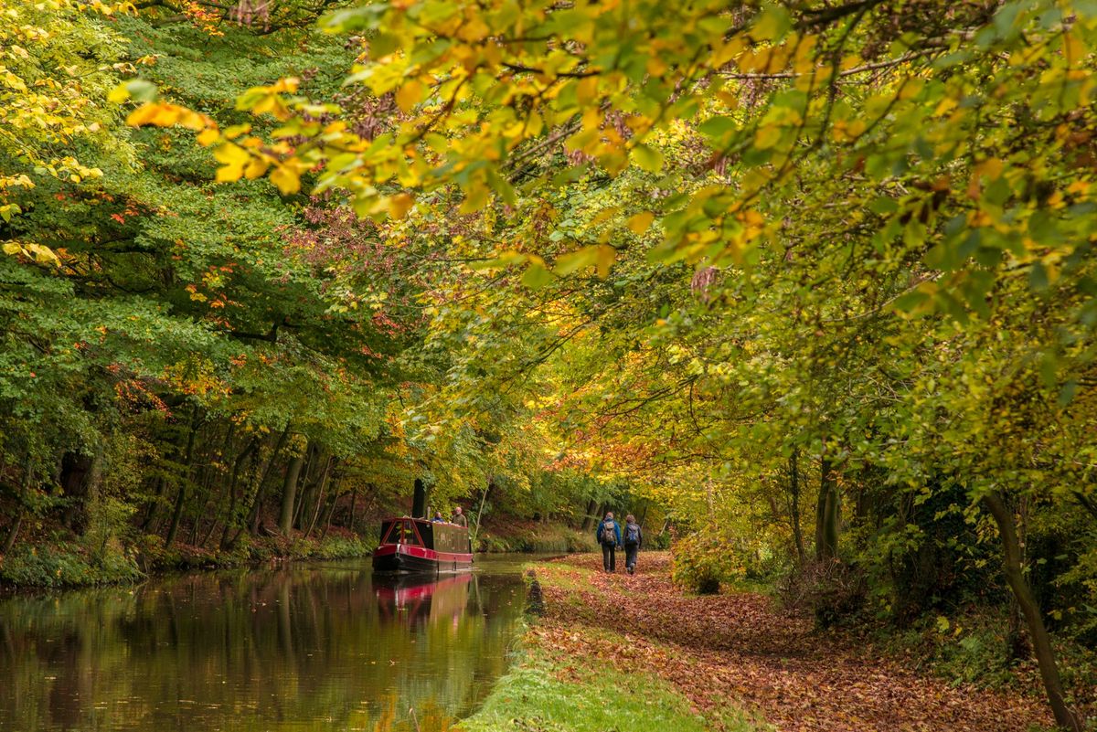 FREE Let's Walk - Bridgwater & Taunton Canal (Bathpool - Firepool Lock)