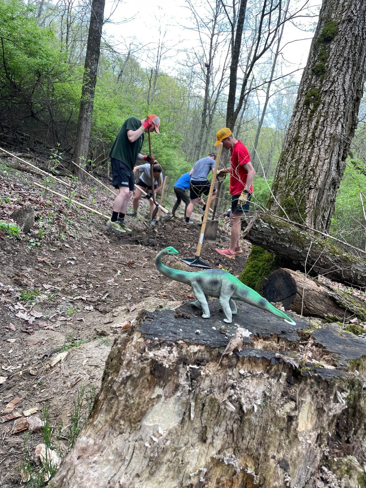 January 18th Trail Improvement Day