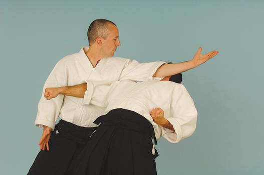 Special Keiko with Bodo R\u00f6del, 6. Dan Aikikai, in Berlin