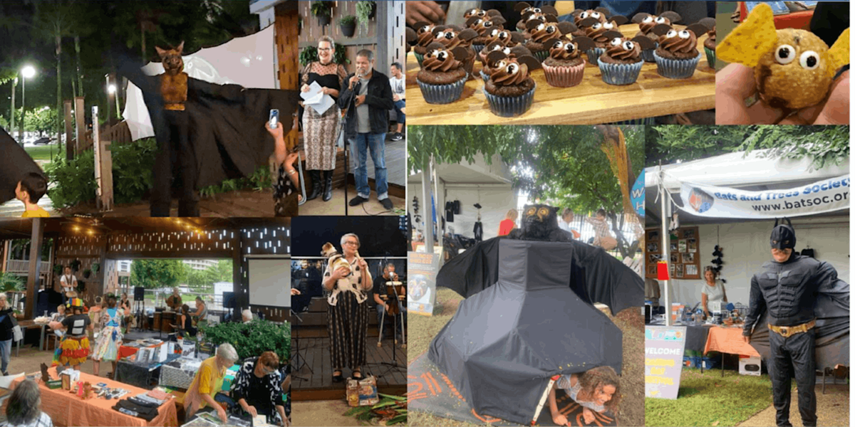 Cairns Bat Festival 2024