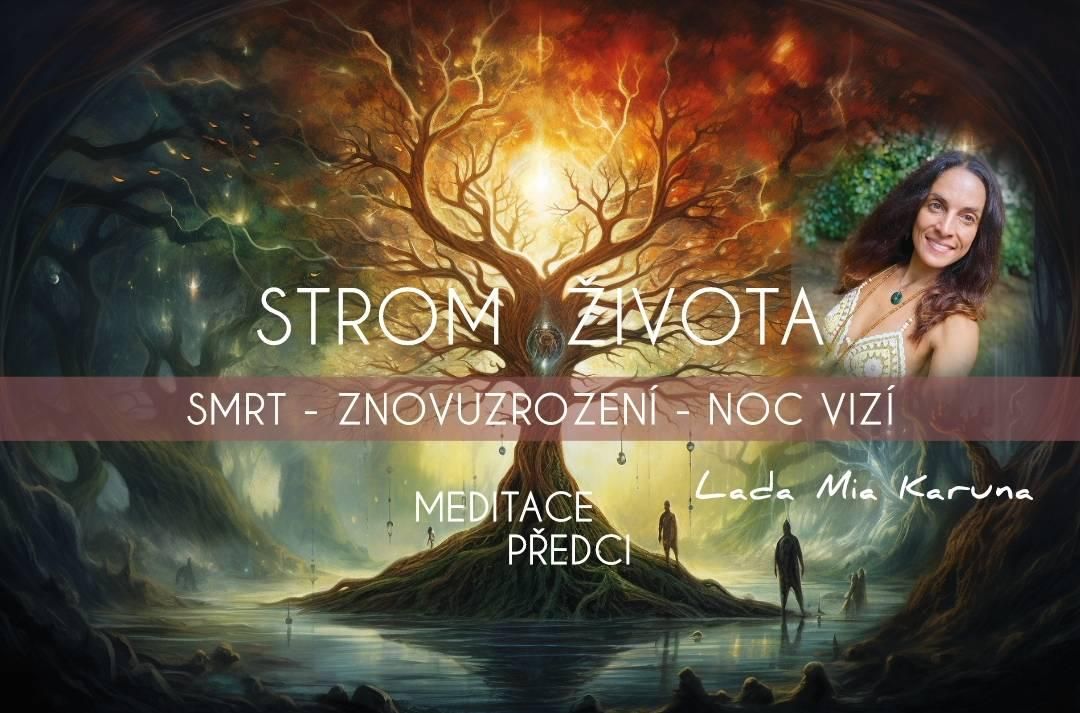 STROM \u017dIVOTA I. - Smrt - Znovuzrozen\u00ed - Noc viz\u00ed - Meditace P\u0159edci - Cacao a Rape Ceremony