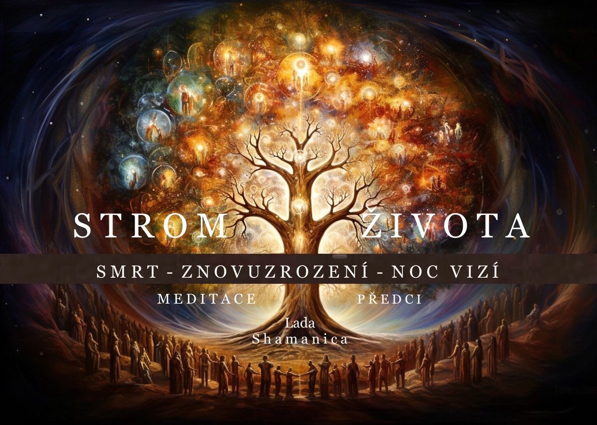 STROM \u017dIVOTA - Smrt - Znovuzrozen\u00ed - Noc viz\u00ed - Meditace P\u0159edci - Moudrost kamenn\u00e9ho kruhu, Despacho