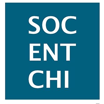 Social Enterprise Chicago