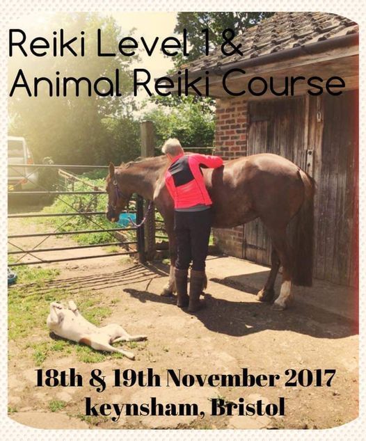 First Degree Reiki and Equine Reiki Course