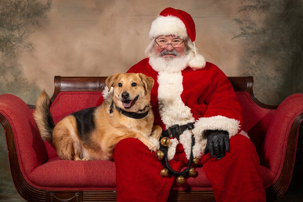 Picture Pawfect - Holiday Pictures with Santa at A1 Pet Emporium 