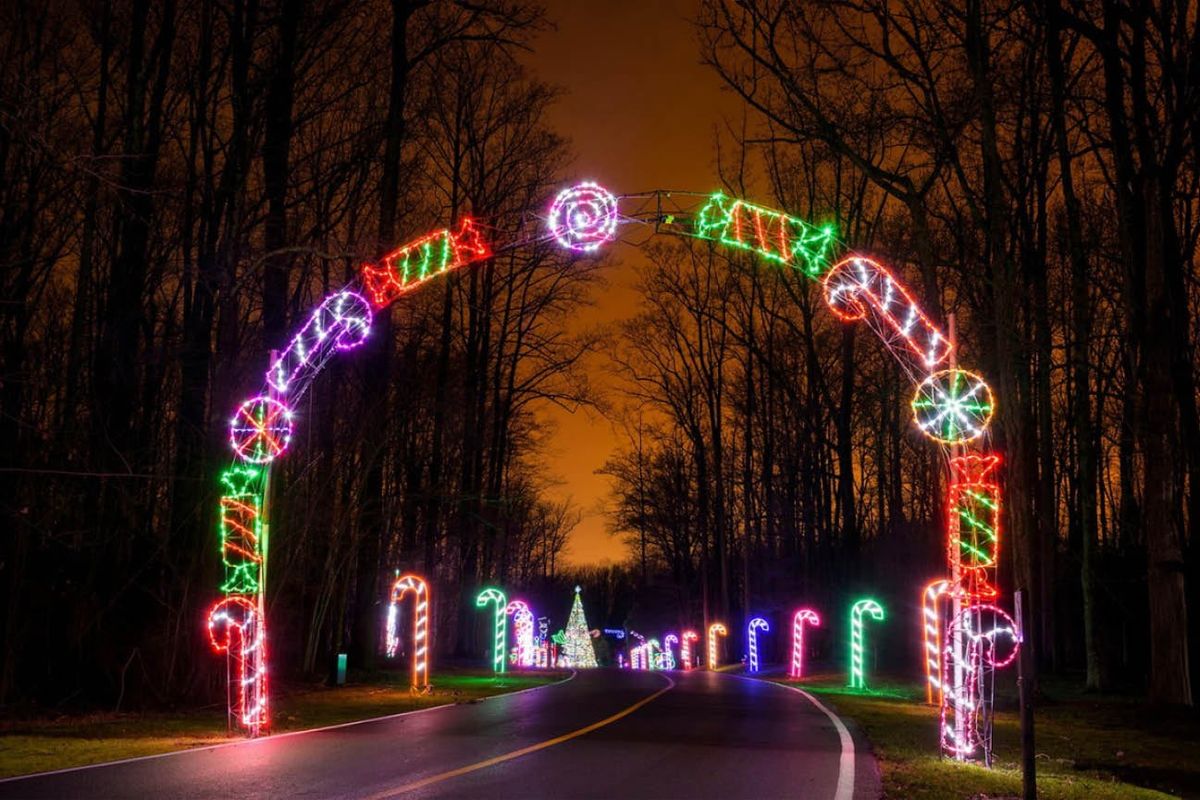 Barefoot Puppets: Galapagos George