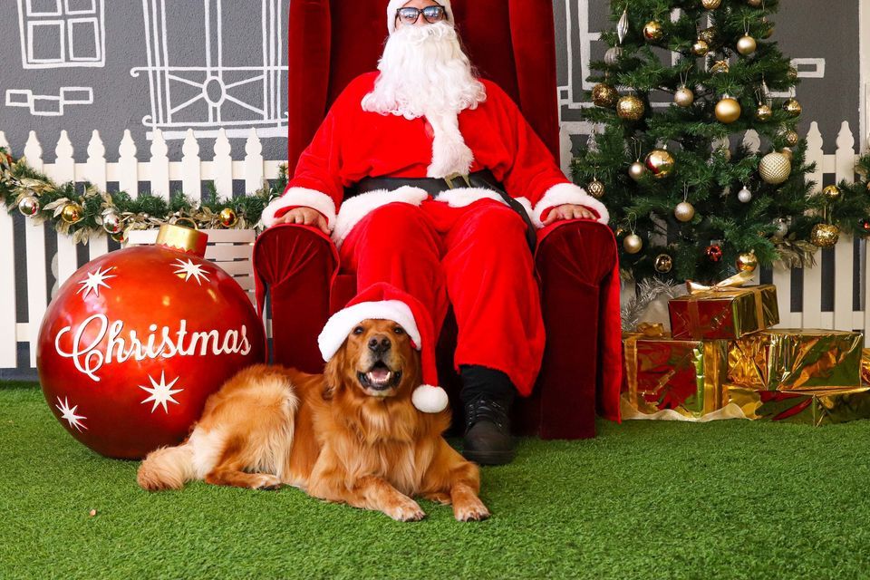 [SOLD OUT ] Santa Paws Pet Photography