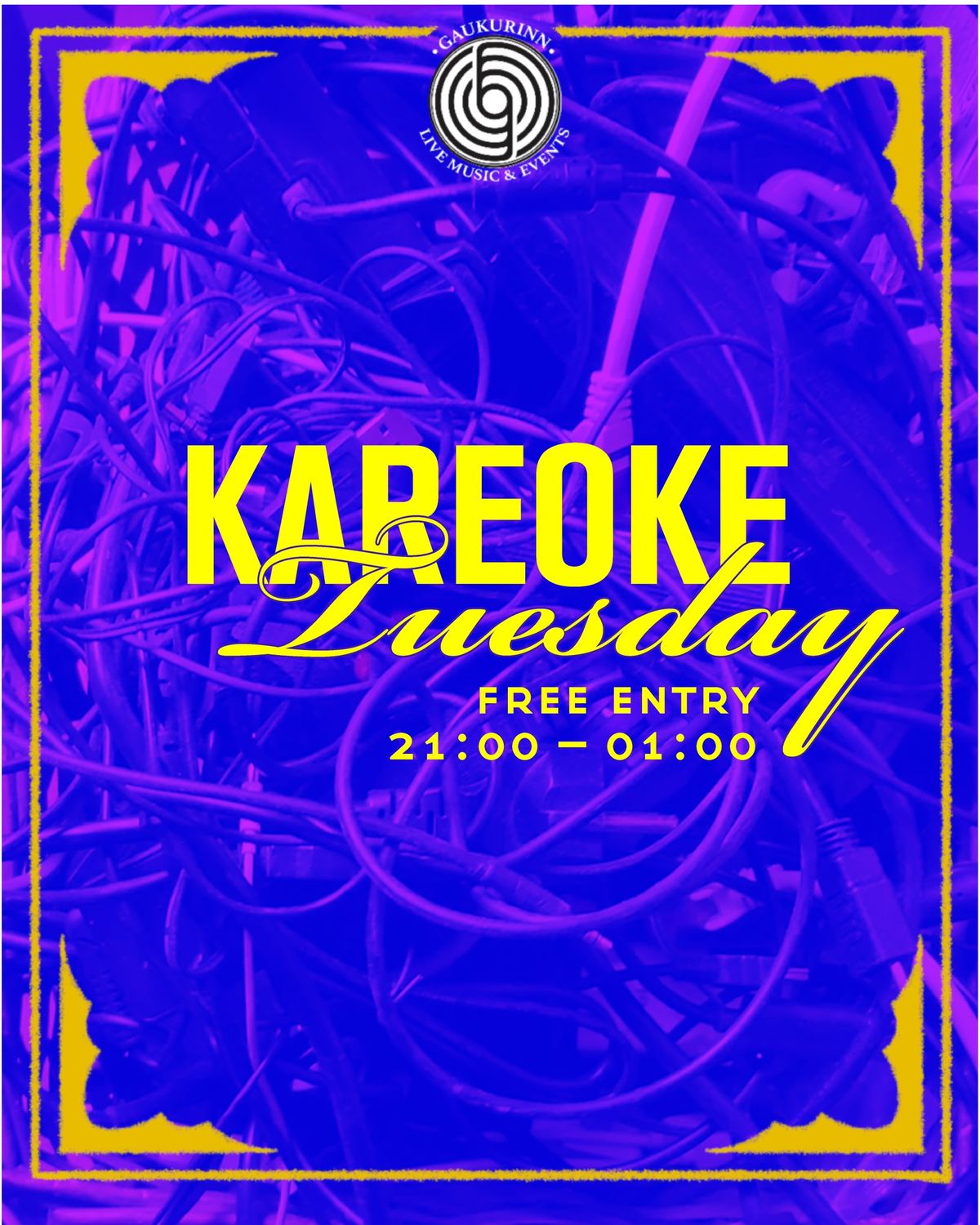 Karaoke at Gaukurinn