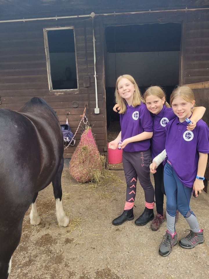 Junior Summer Pony Camp 2022