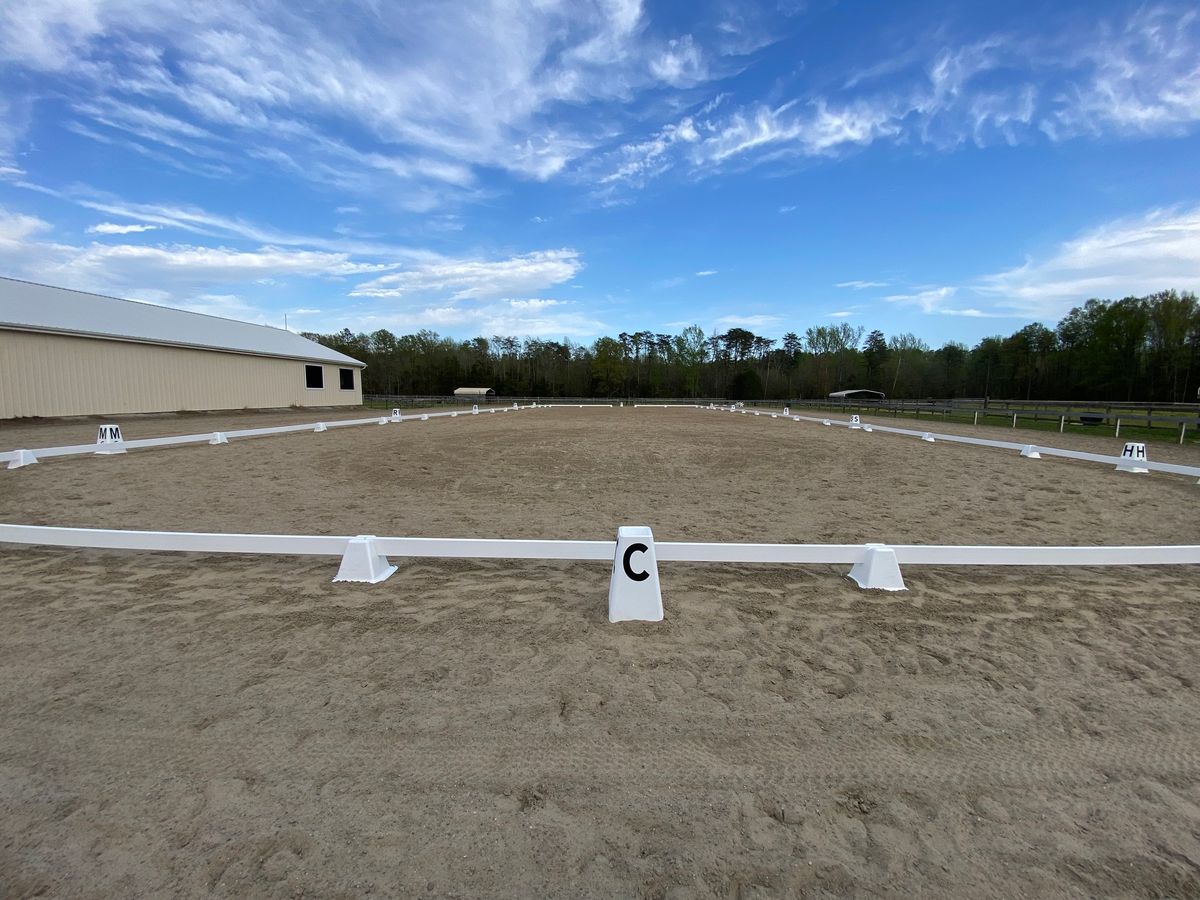 Dressage Schooling Show #6